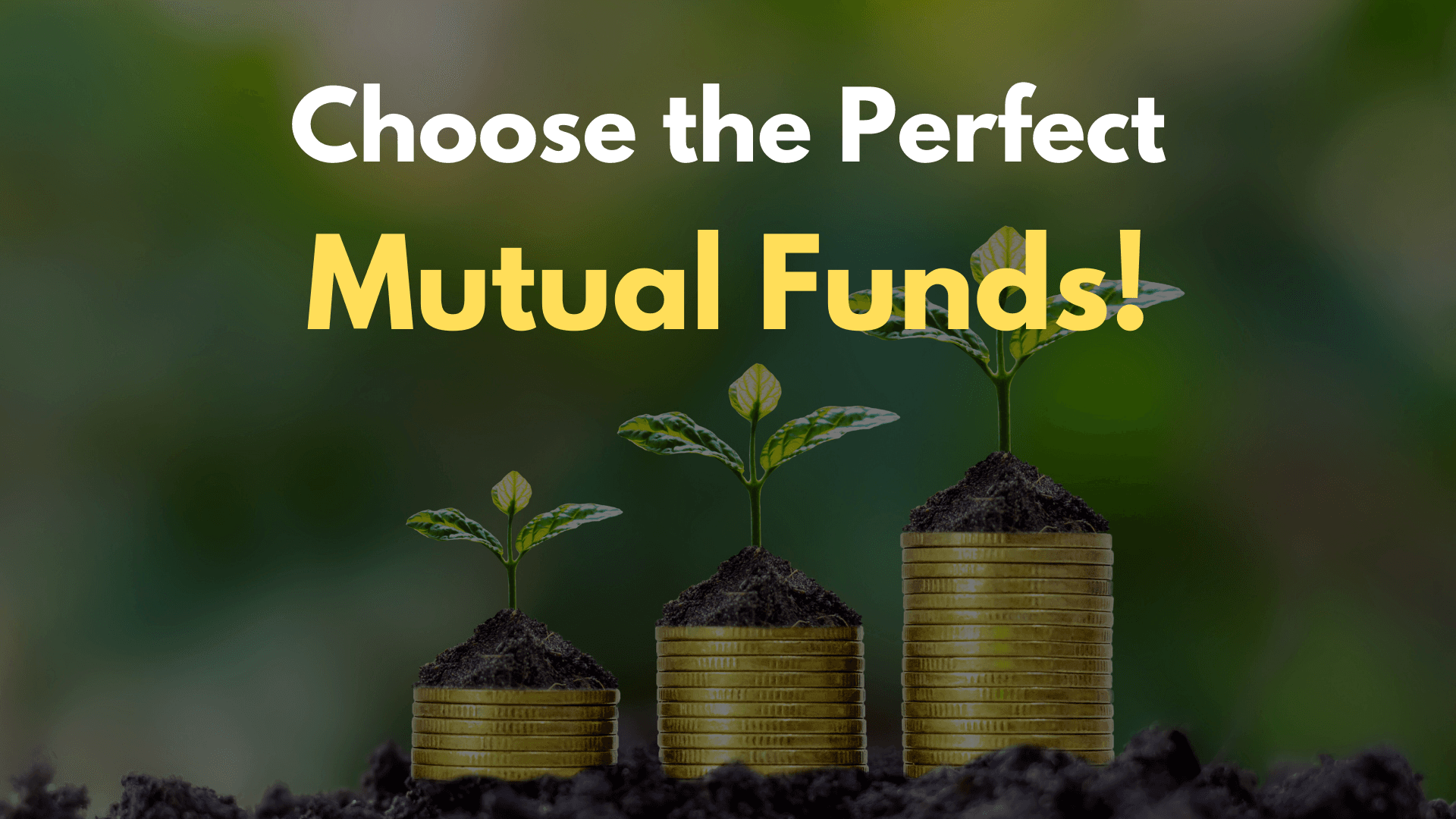 How to Choose the Perfect Mutual Funds